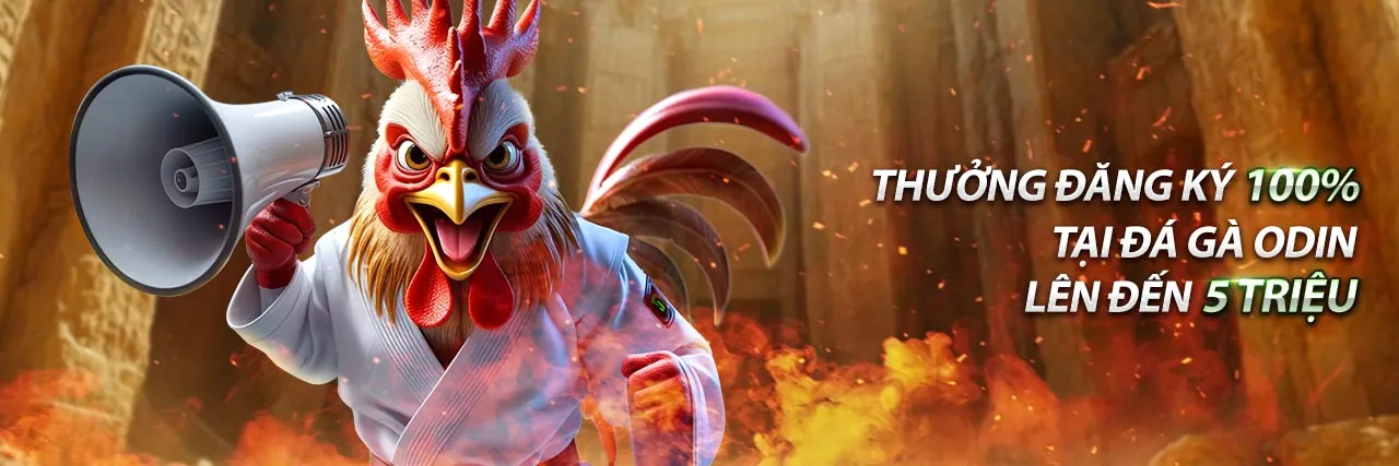 Cá cược thể thao tại OK9 với các giải đấu lớn