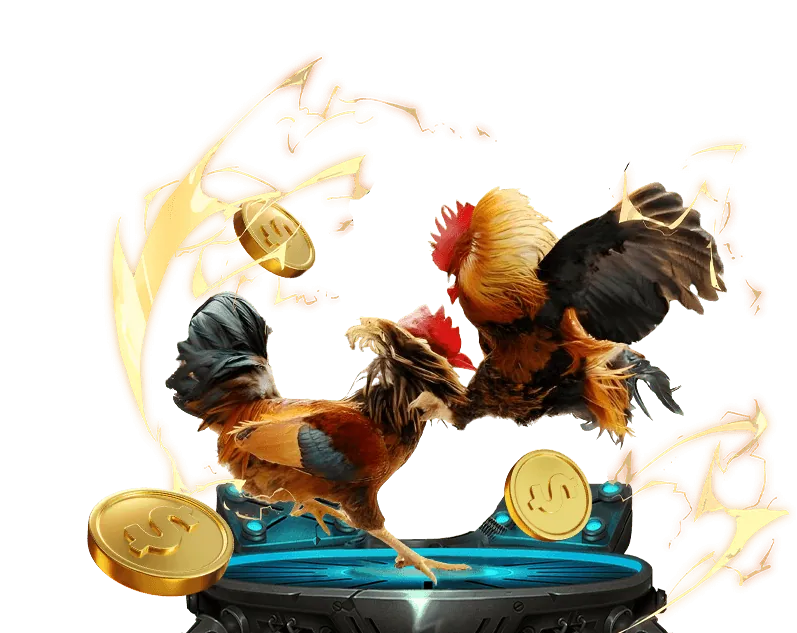 Hướng dẫn đăng ký tài khoản OK9